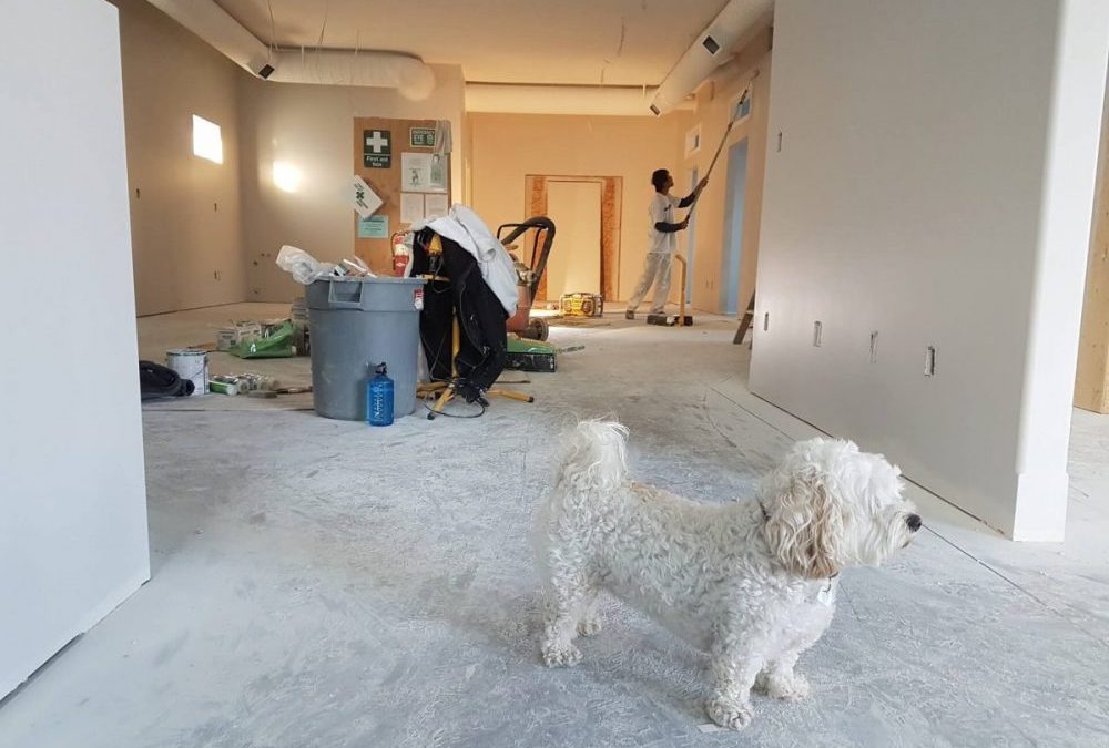 Sanierung - Wann lohnt sich die Haussanierung - immobilien und projektentwicklung hardy fuß frechen