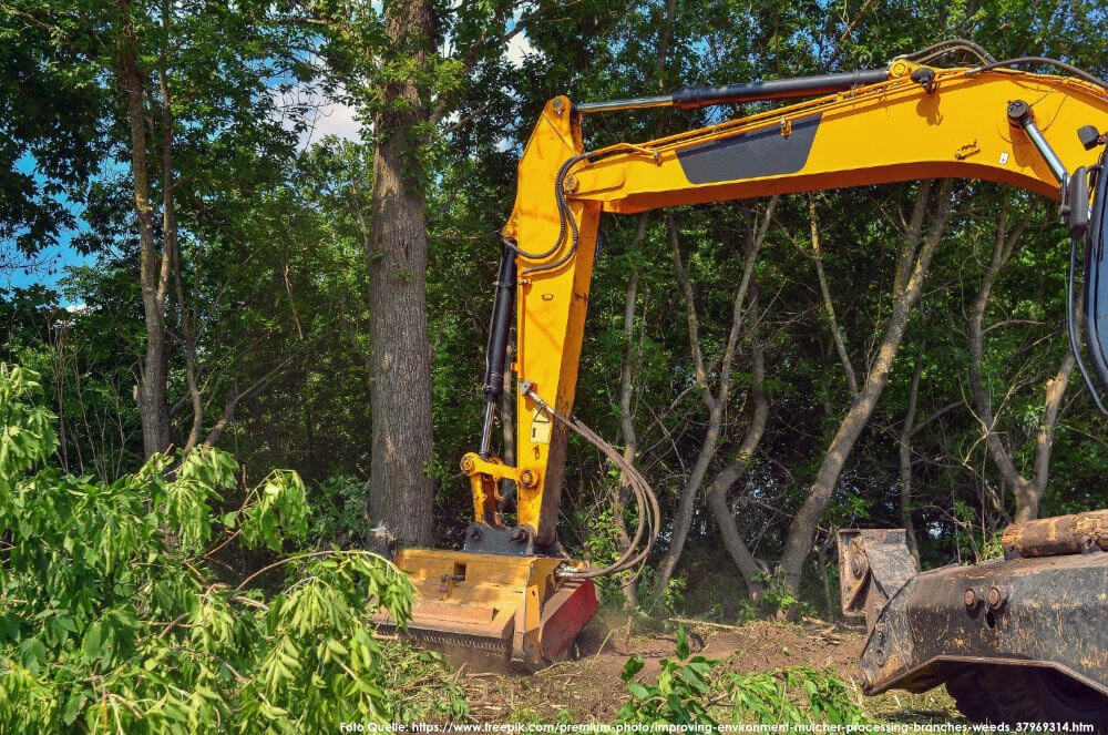 Bauherren haften fuer Schaeden an Baeumen auf benachbarten Grundstuecken Baum kaputt Bauherr haftet