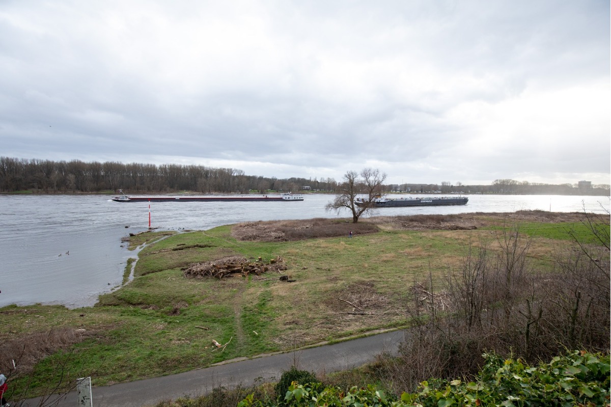 Rheinblick